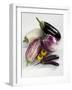 Various Types of Aubergines-Karl Newedel-Framed Photographic Print