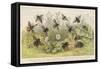 Various Types of Bee-null-Framed Stretched Canvas