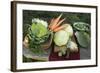 Various Types of Brassicas and Carrots-Eising Studio - Food Photo and Video-Framed Photographic Print