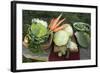 Various Types of Brassicas and Carrots-Eising Studio - Food Photo and Video-Framed Photographic Print