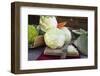 Various Types of Brassicas and Carrots-Eising Studio - Food Photo and Video-Framed Photographic Print