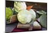 Various Types of Brassicas and Carrots-Eising Studio - Food Photo and Video-Mounted Photographic Print