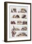 Various Types of Brazilian Huts, Engraving from Picturesque and Historic Voyage to Brazil-Jean-Baptiste Debret-Framed Giclee Print