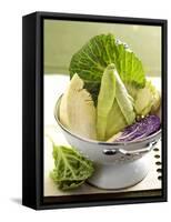 Various Types of Cabbage in a Strainer-Joff Lee-Framed Stretched Canvas