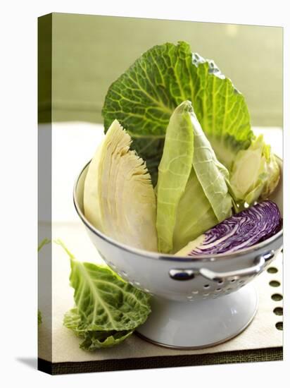 Various Types of Cabbage in a Strainer-Joff Lee-Stretched Canvas