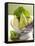 Various Types of Cabbage in a Strainer-Joff Lee-Framed Stretched Canvas