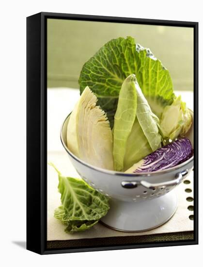 Various Types of Cabbage in a Strainer-Joff Lee-Framed Stretched Canvas