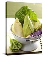 Various Types of Cabbage in a Strainer-Joff Lee-Stretched Canvas