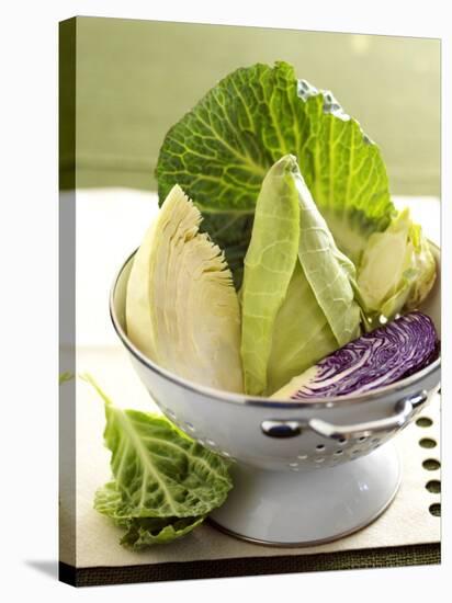 Various Types of Cabbage in a Strainer-Joff Lee-Stretched Canvas