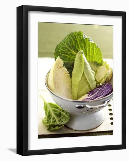 Various Types of Cabbage in a Strainer-Joff Lee-Framed Photographic Print