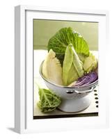 Various Types of Cabbage in a Strainer-Joff Lee-Framed Photographic Print