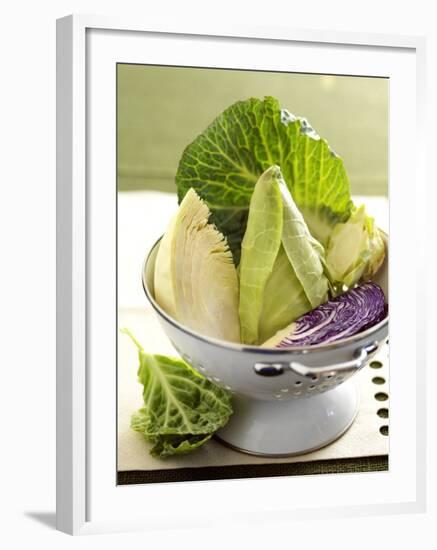 Various Types of Cabbage in a Strainer-Joff Lee-Framed Photographic Print