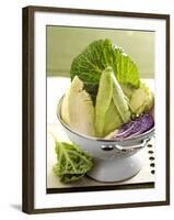 Various Types of Cabbage in a Strainer-Joff Lee-Framed Photographic Print