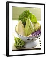 Various Types of Cabbage in a Strainer-Joff Lee-Framed Photographic Print