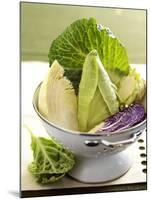 Various Types of Cabbage in a Strainer-Joff Lee-Mounted Photographic Print