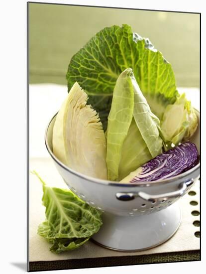 Various Types of Cabbage in a Strainer-Joff Lee-Mounted Photographic Print