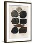 Various Types of Carbon Including Crystallised Diamond, Graphite, Slate Coal and Peat-null-Framed Art Print