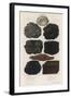 Various Types of Carbon Including Crystallised Diamond, Graphite, Slate Coal and Peat-null-Framed Art Print
