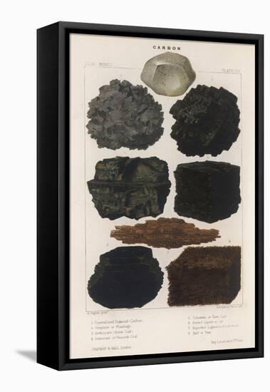 Various Types of Carbon Including Crystallised Diamond, Graphite, Slate Coal and Peat-null-Framed Stretched Canvas