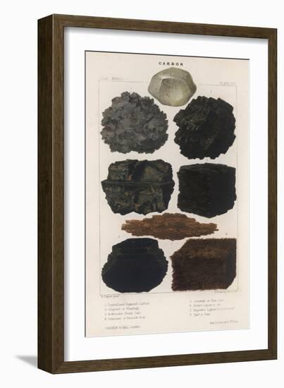 Various Types of Carbon Including Crystallised Diamond, Graphite, Slate Coal and Peat-null-Framed Art Print