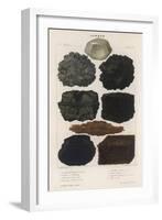 Various Types of Carbon Including Crystallised Diamond, Graphite, Slate Coal and Peat-null-Framed Art Print