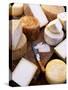 Various Types of Cheese from the Basque Region-Joerg Lehmann-Stretched Canvas