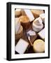 Various Types of Cheese from the Basque Region-Joerg Lehmann-Framed Photographic Print