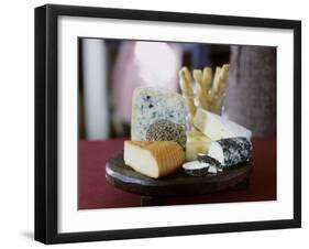 Various Types of Cheese with Cheese Straws-Alena Hrbkova-Framed Photographic Print