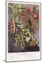 Various Types of Colourful Coral-Lackerbauer-Mounted Art Print