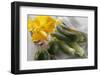 Various Types of Courgettes and Courgette Flowers-Eising Studio - Food Photo and Video-Framed Photographic Print