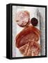 Various Types of Italian Salami, Bresaola and Sopressa-Eising Studio - Food Photo and Video-Framed Stretched Canvas