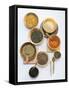 Various Types of Lentils in Small Bowls-Nikolai Buroh-Framed Stretched Canvas