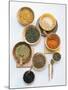 Various Types of Lentils in Small Bowls-Nikolai Buroh-Mounted Photographic Print