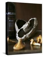 Various Types of Mushrooms in Front of Port Wine Bottle-Henrik Freek-Stretched Canvas