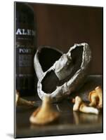 Various Types of Mushrooms in Front of Port Wine Bottle-Henrik Freek-Mounted Photographic Print