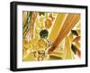 Various Types of Pasta-Karin Iden-Framed Photographic Print