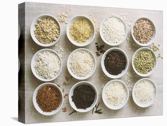 Various Types of Rice in Small Bowls-Ingvar Eriksson-Stretched Canvas