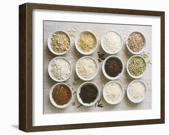 Various Types of Rice in Small Bowls-Ingvar Eriksson-Framed Photographic Print