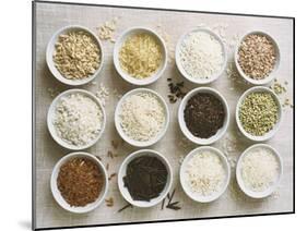 Various Types of Rice in Small Bowls-Ingvar Eriksson-Mounted Photographic Print