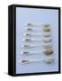 Various Types of Rice on Asian Spoons-Alexander Van Berge-Framed Stretched Canvas