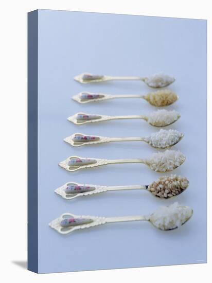 Various Types of Rice on Asian Spoons-Alexander Van Berge-Stretched Canvas