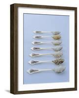 Various Types of Rice on Asian Spoons-Alexander Van Berge-Framed Photographic Print