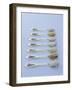 Various Types of Rice on Asian Spoons-Alexander Van Berge-Framed Photographic Print