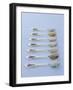 Various Types of Rice on Asian Spoons-Alexander Van Berge-Framed Photographic Print