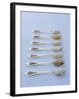 Various Types of Rice on Asian Spoons-Alexander Van Berge-Framed Photographic Print