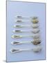 Various Types of Rice on Asian Spoons-Alexander Van Berge-Mounted Photographic Print