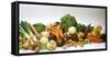 Various Types of Root Vegetables, Cabbages and Leeks-Eising Studio - Food Photo and Video-Framed Stretched Canvas