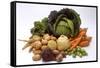 Various Types of Root Vegetables, Turnips and Cabbage-Eising Studio - Food Photo and Video-Framed Stretched Canvas