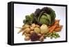 Various Types of Root Vegetables, Turnips and Cabbage-Eising Studio - Food Photo and Video-Framed Stretched Canvas