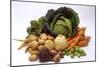 Various Types of Root Vegetables, Turnips and Cabbage-Eising Studio - Food Photo and Video-Mounted Photographic Print
